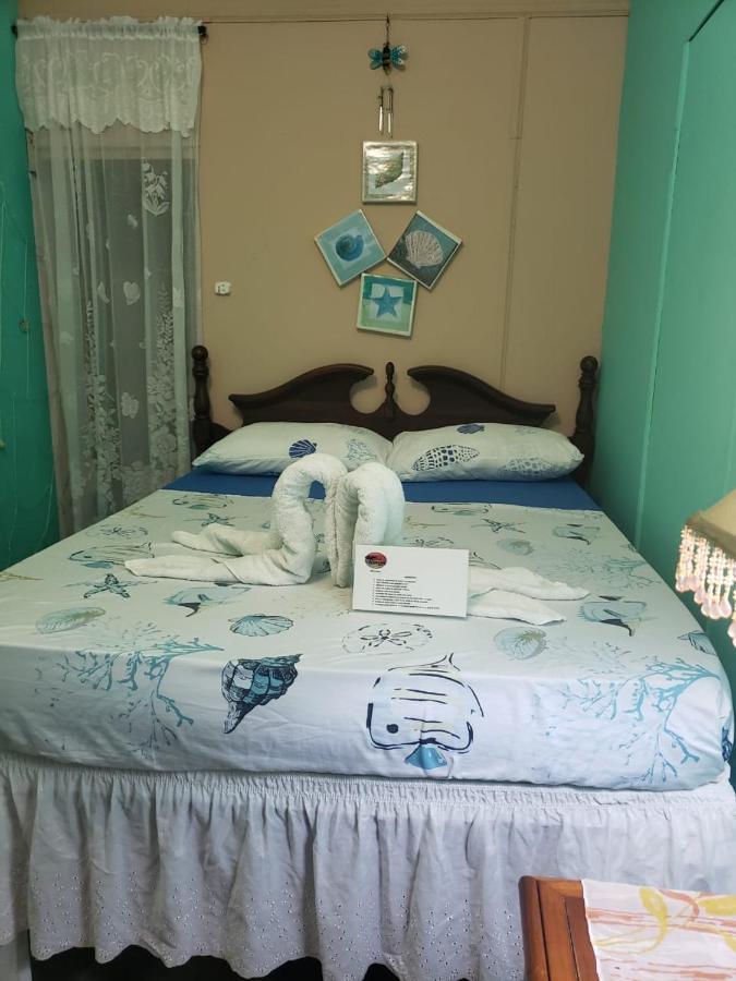 Posada Nativa Trinsan Centro San Andrés المظهر الخارجي الصورة