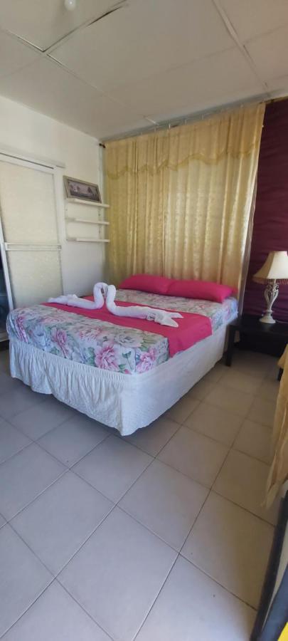 Posada Nativa Trinsan Centro San Andrés المظهر الخارجي الصورة